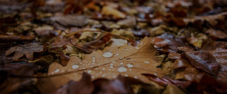 The A to Z of Great Outdoors in Ireland’s Hidden Heartlands