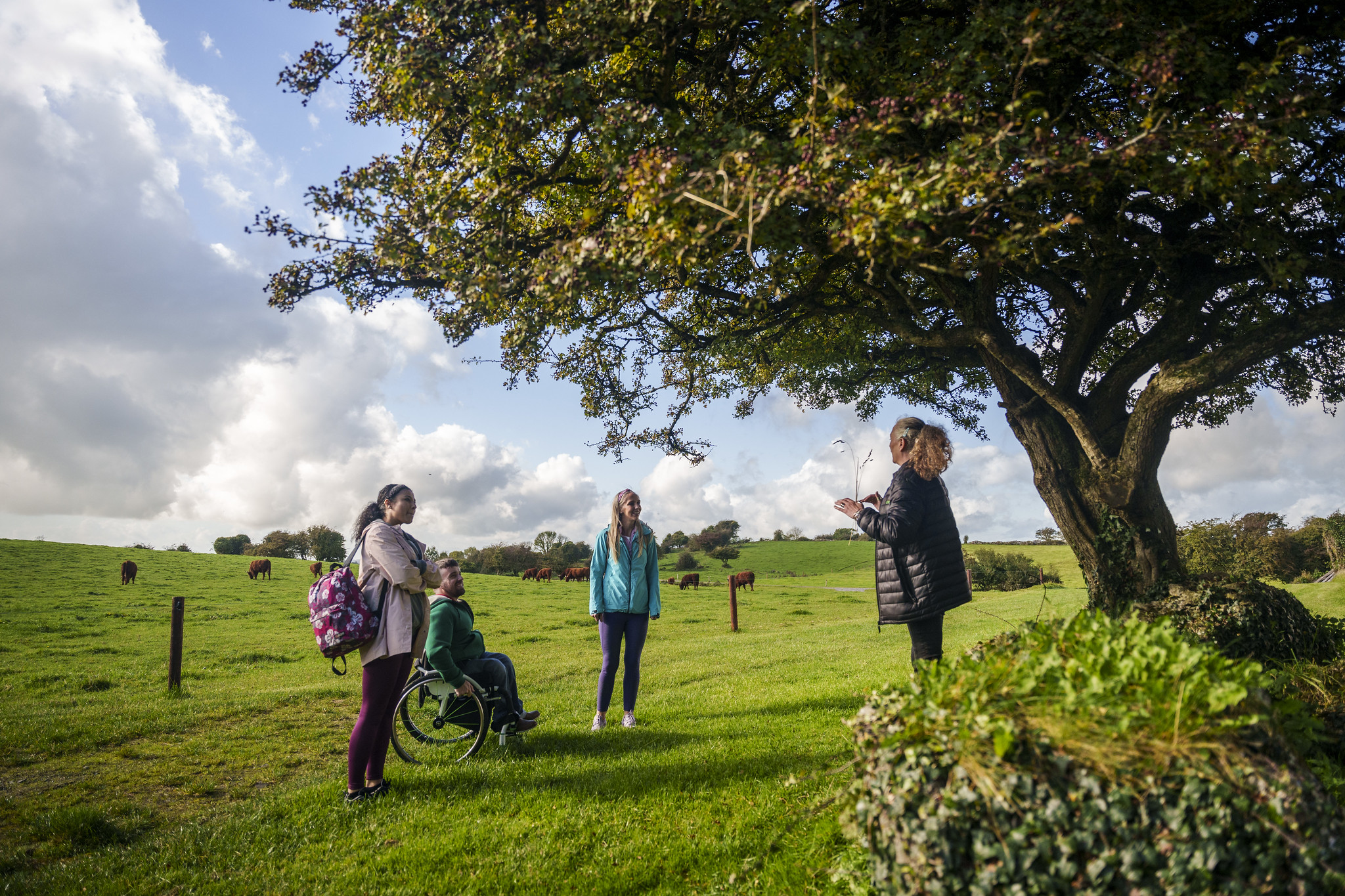 Hill of Uisneach Tour Talk